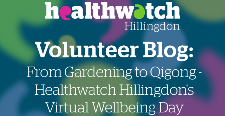 Volunteer Blog - From Gardening to Qigong - Healthwatch Hillingdon's Virtual Wellbeing Day