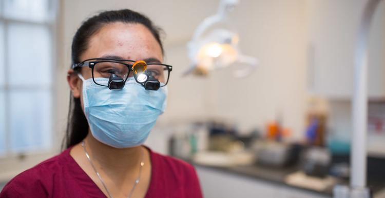 dentist dentist